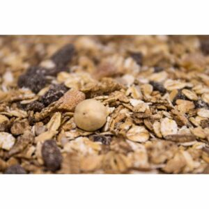 Crunchy Apricot Muesli