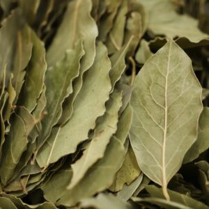 Bay leaves