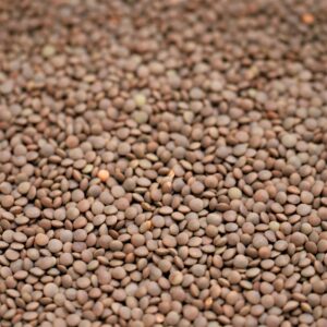 Brown Lentils