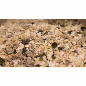 Date & Apricot Porridge