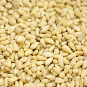 Pine Nuts