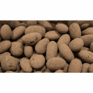Raw Chocolate Almonds