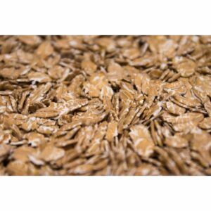 Spelt Flakes