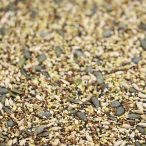 Omega Seed Mix