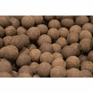 Raw Salted Chocolate Hazelnuts